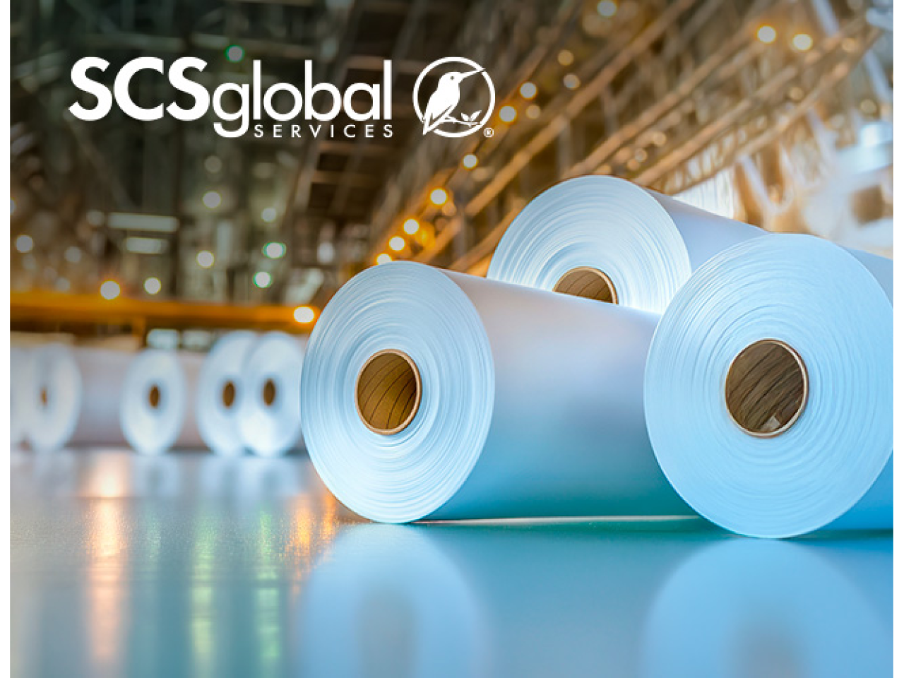 Rolls of Paper