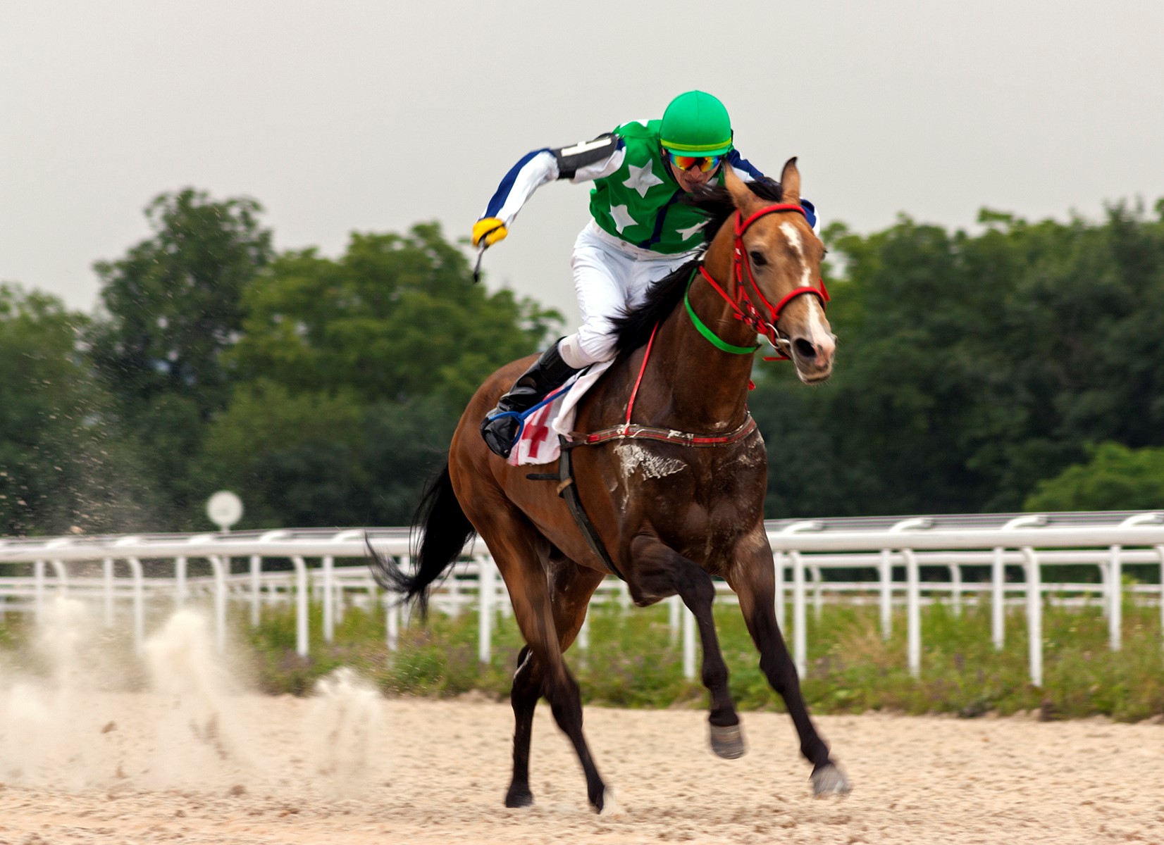 Horse and jokey riding 