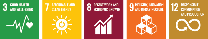 UN Sustainability Goals