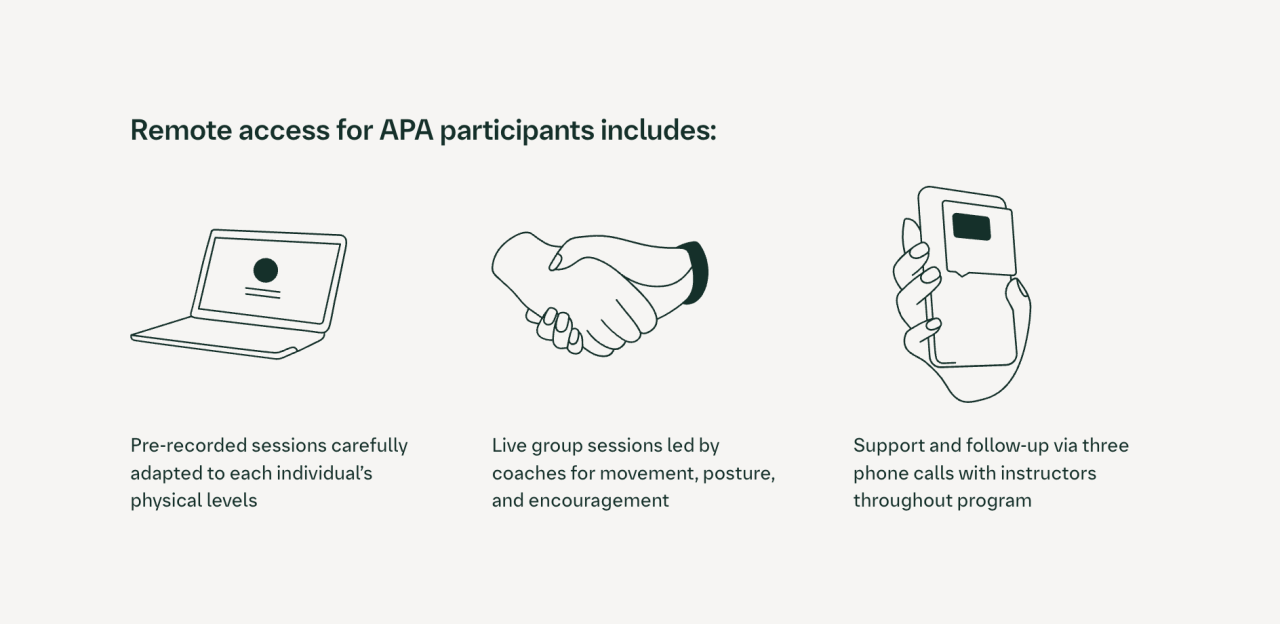 "Remote access for APA participants includes:"