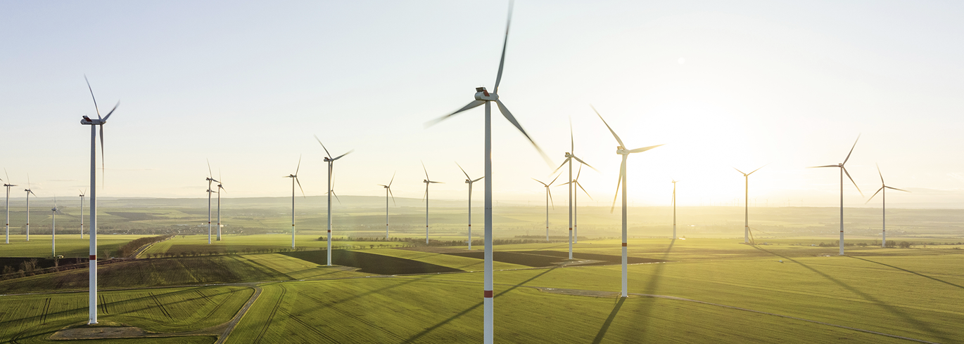 windmills