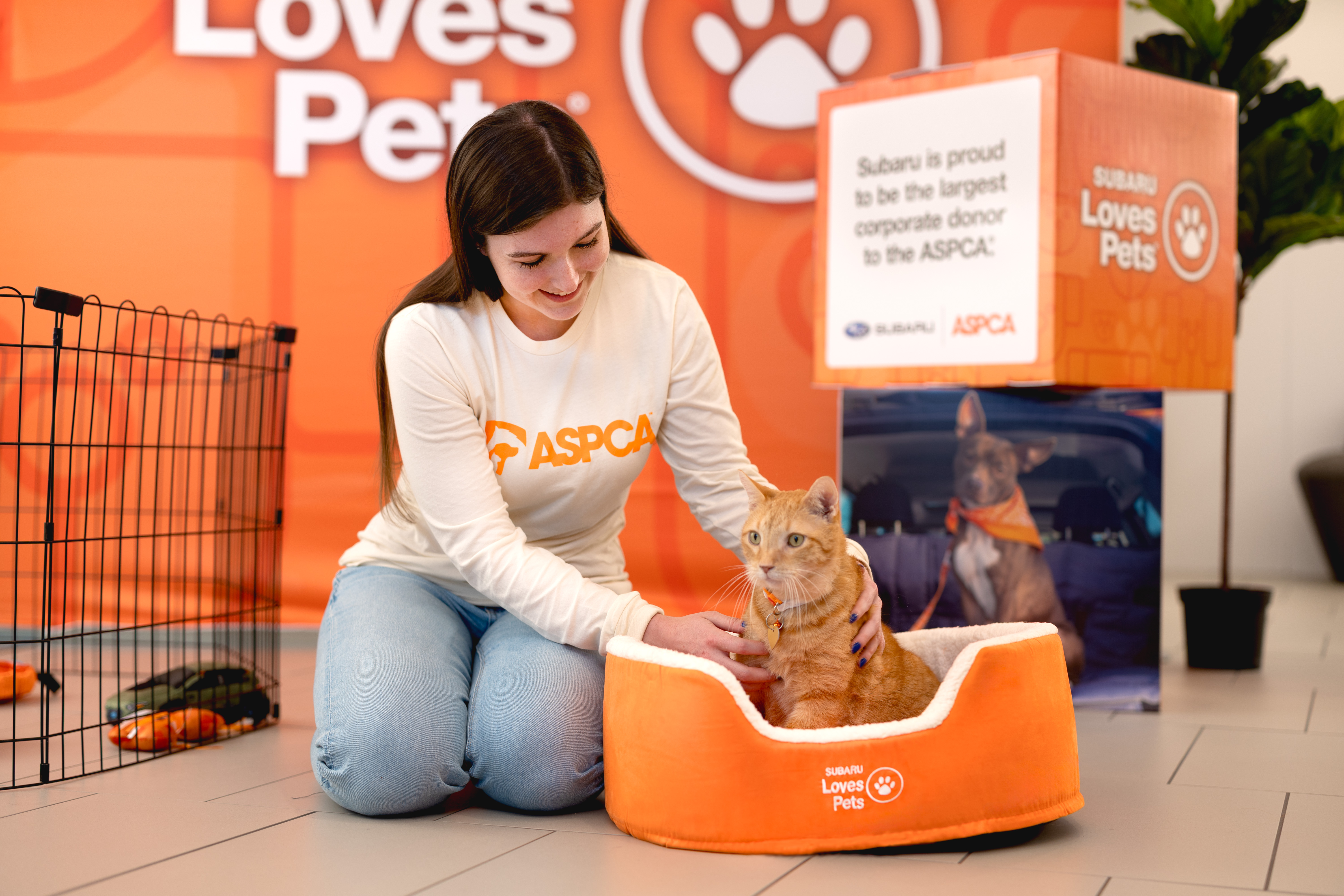 person with a cat