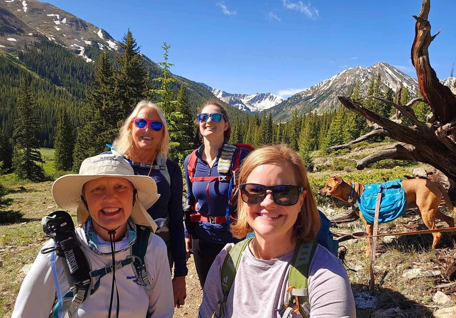 group of hikers