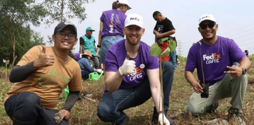 Group gardening