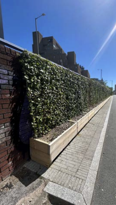 Wall of greenery
