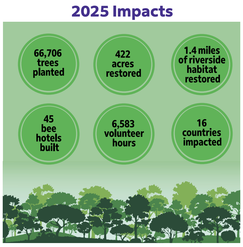 Infographic: 2025 Impacts
