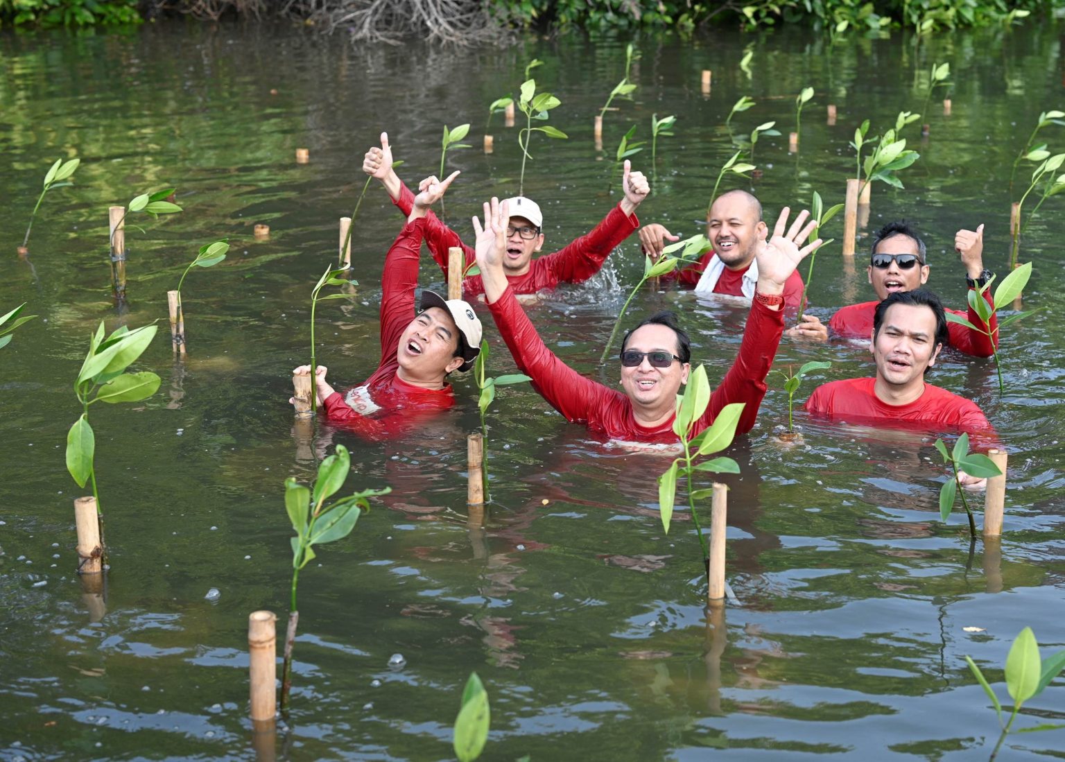 Group standing in water with young plants around them