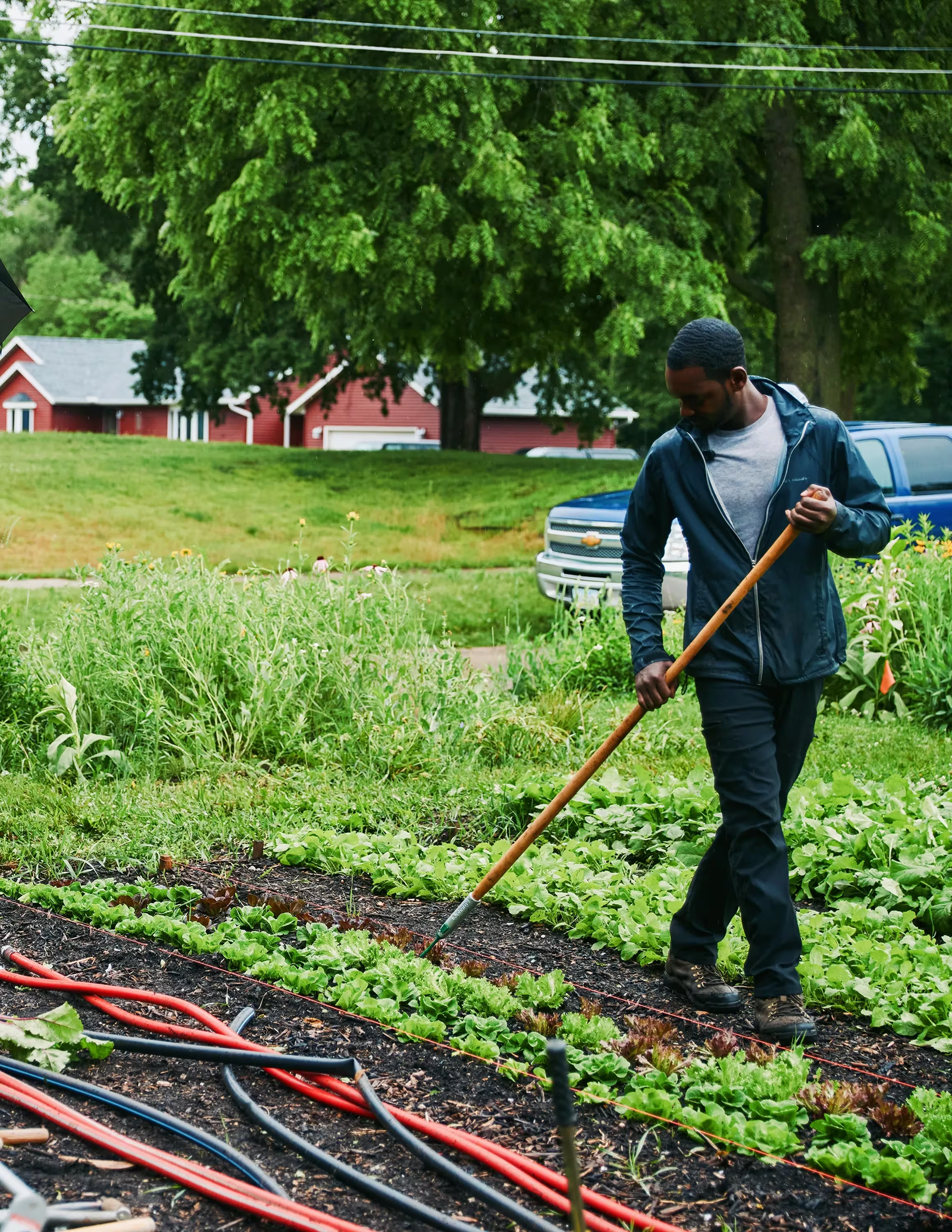 DaQuan Campbell tending a garden
