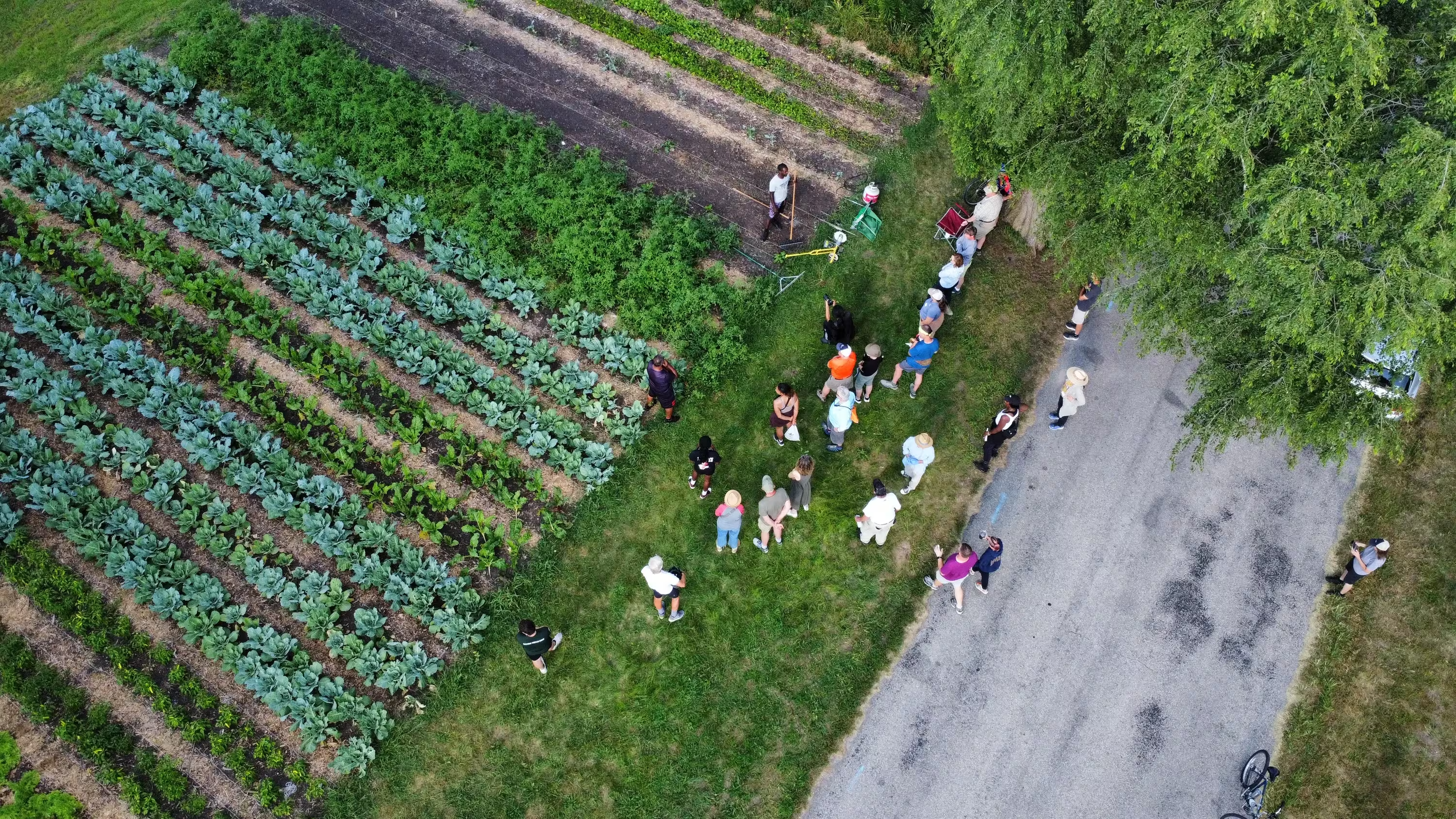 aerial view of people visiting the garden