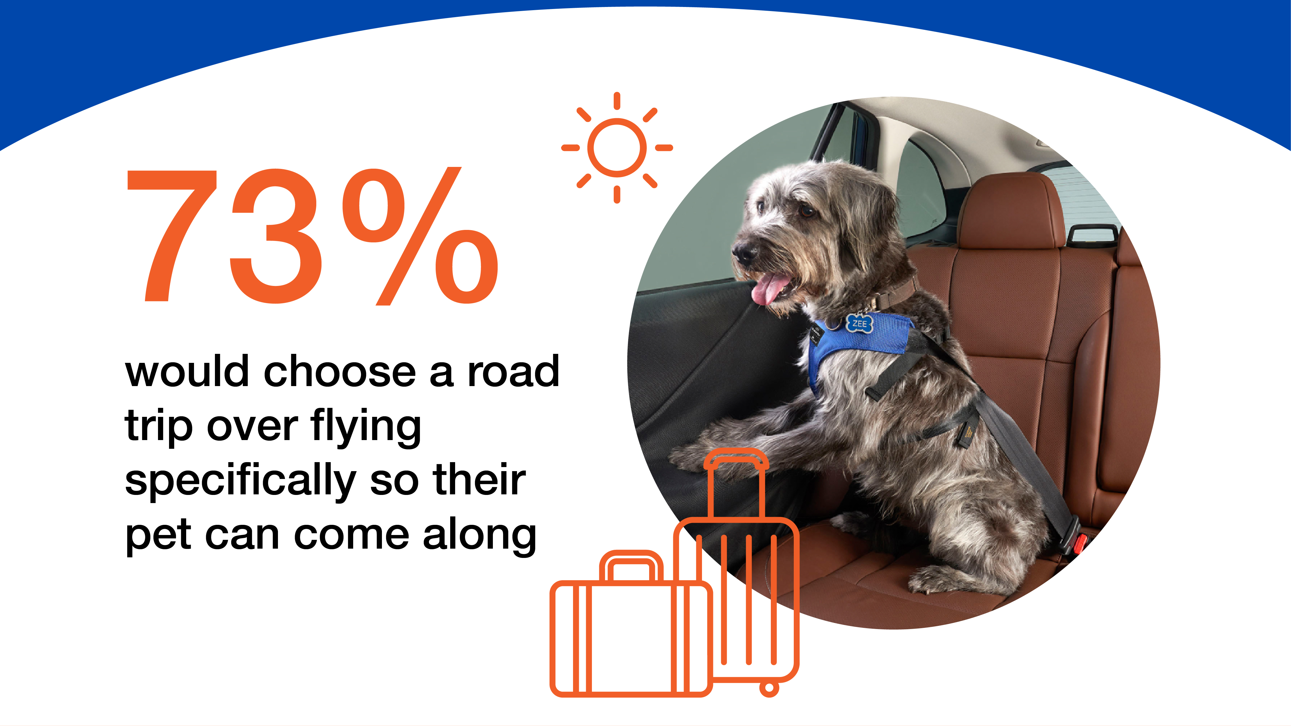73% would choose a road trip over flying specifically so their pet can come along