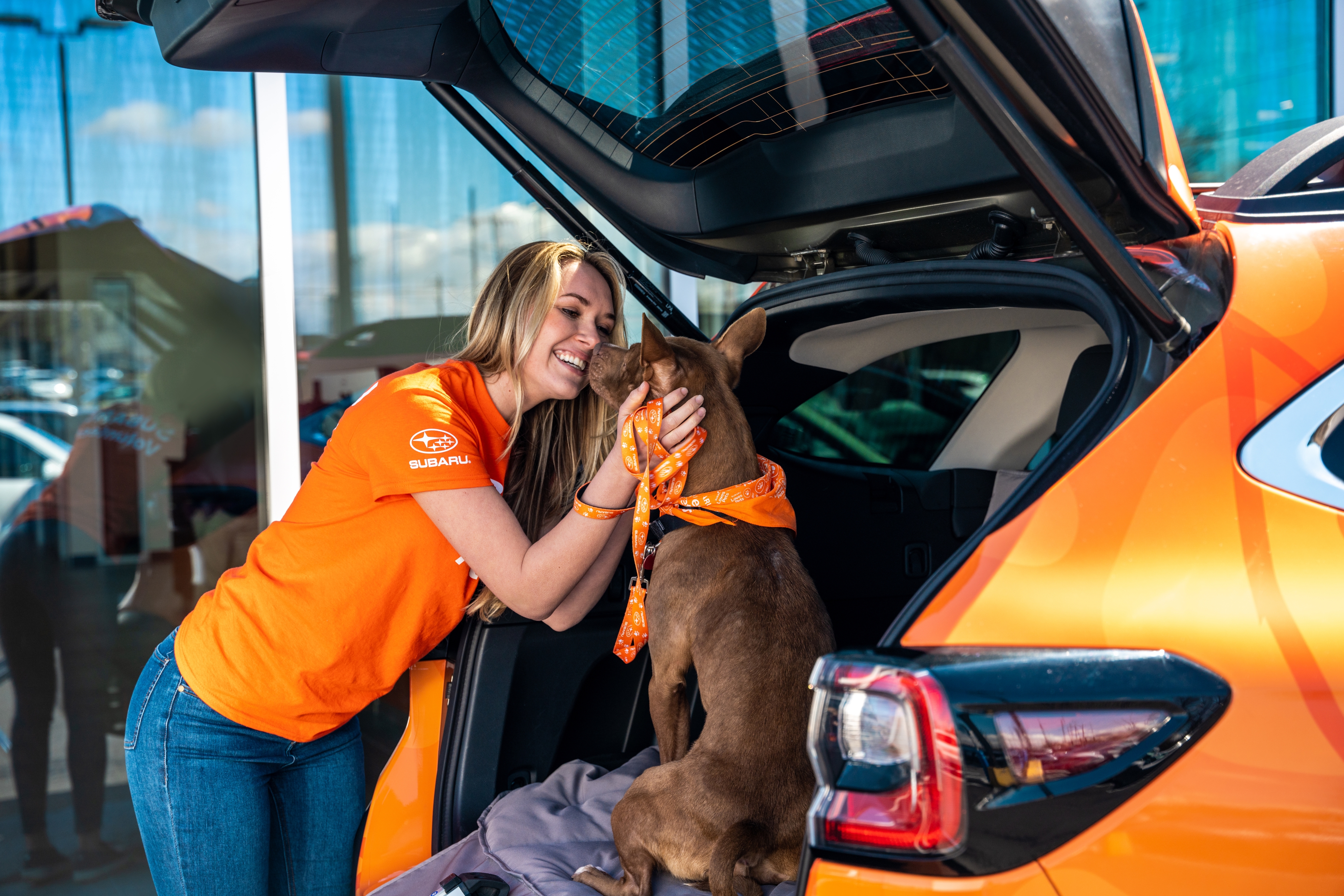 A person petting a dog that's sitting in the open back of a parked Subaru vehicle