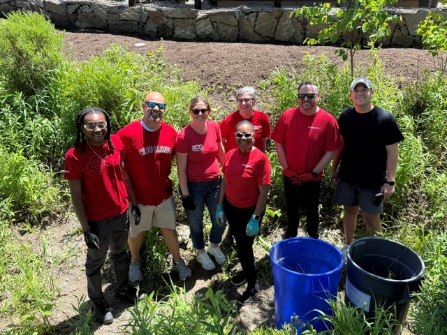 volunteers working together