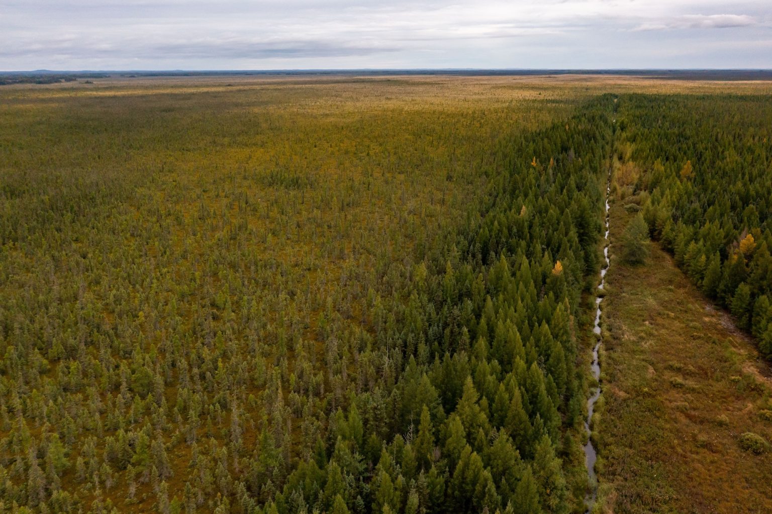 Aerial shot of peatlands