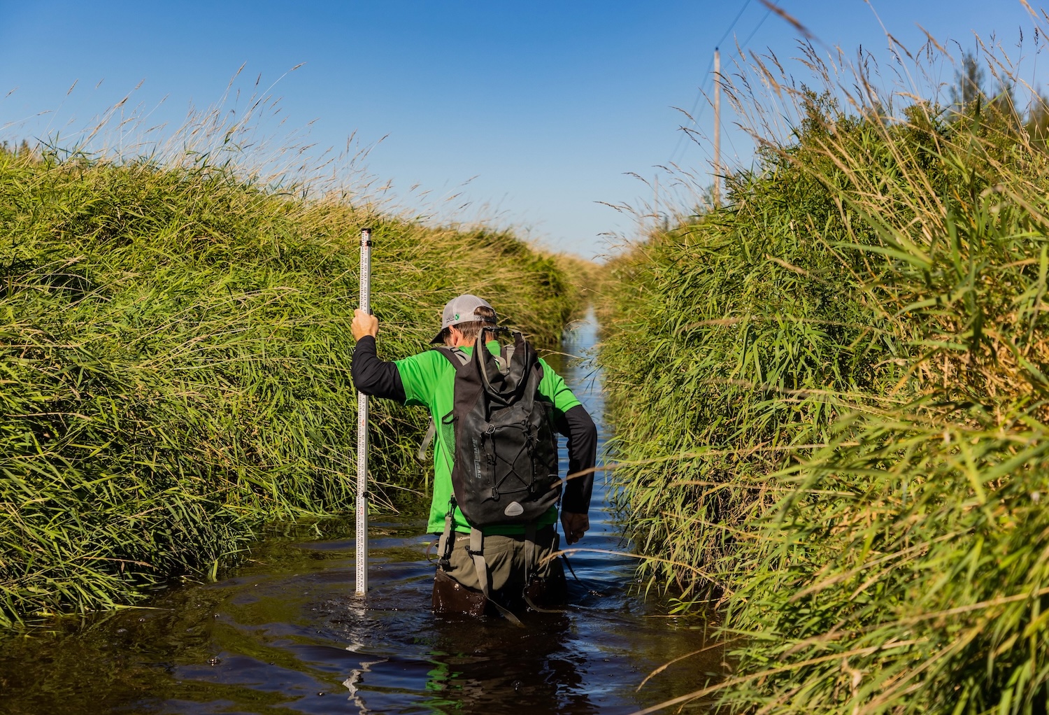 Man walking through wetlands