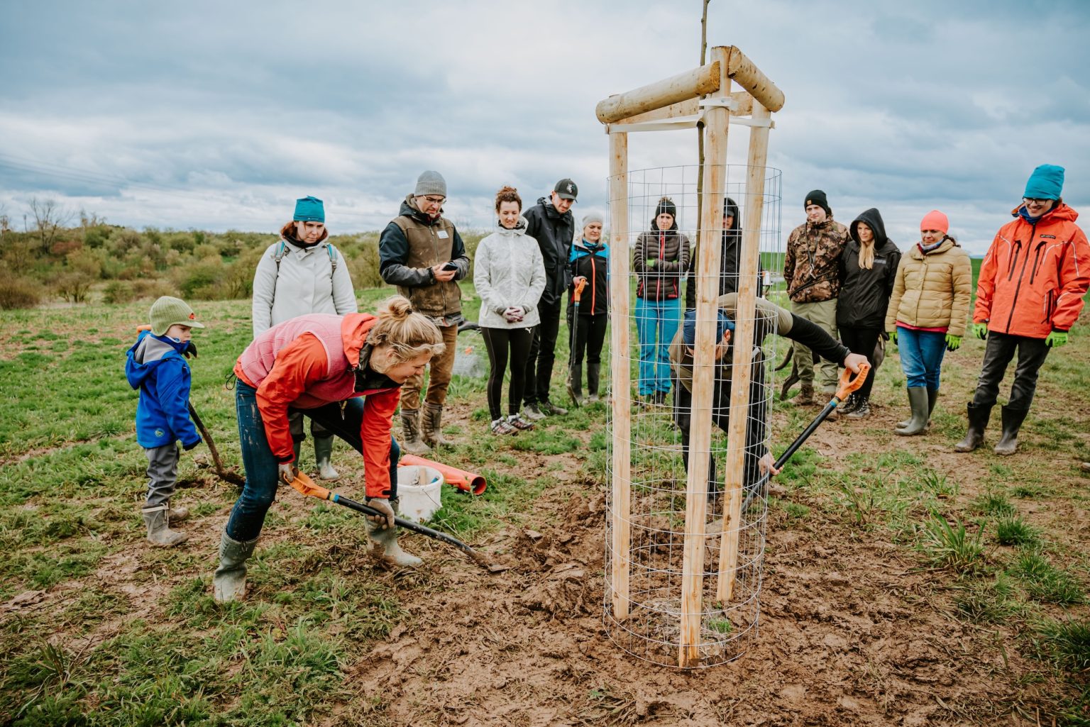 Volunteers planting trees