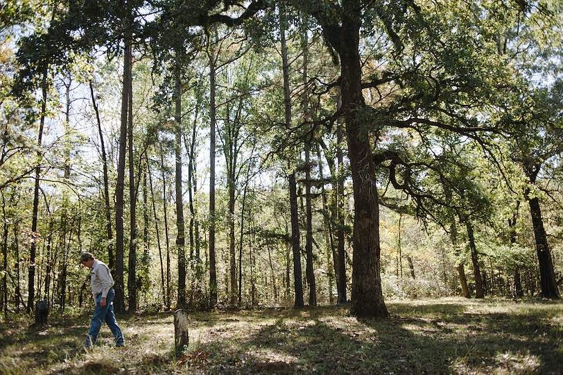 man walking in forest