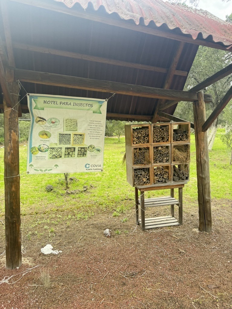 Jaltipan