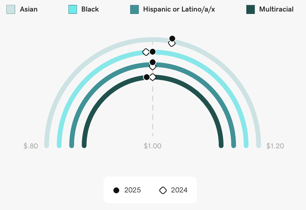 diversity infographic
