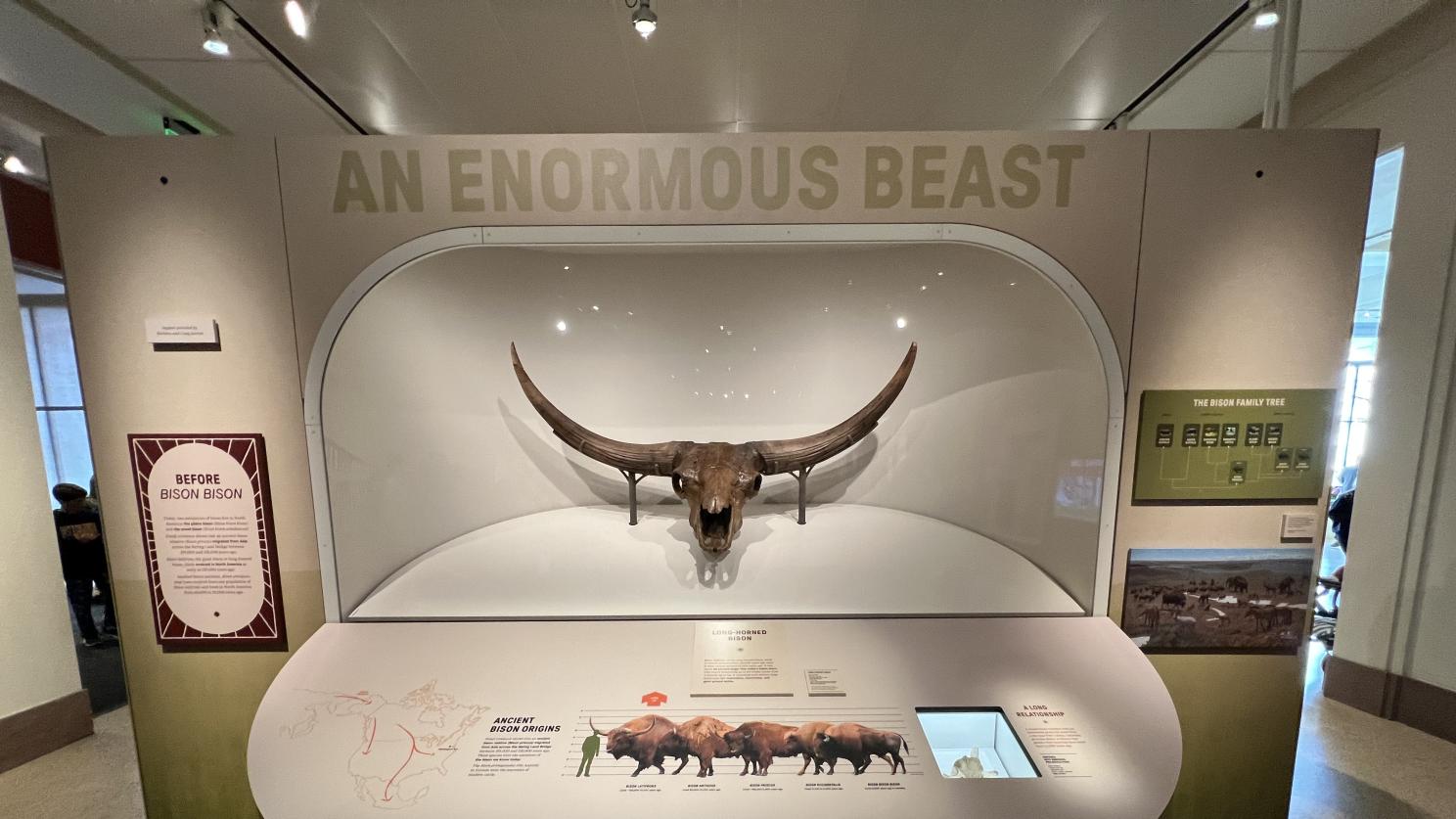 exhibit display