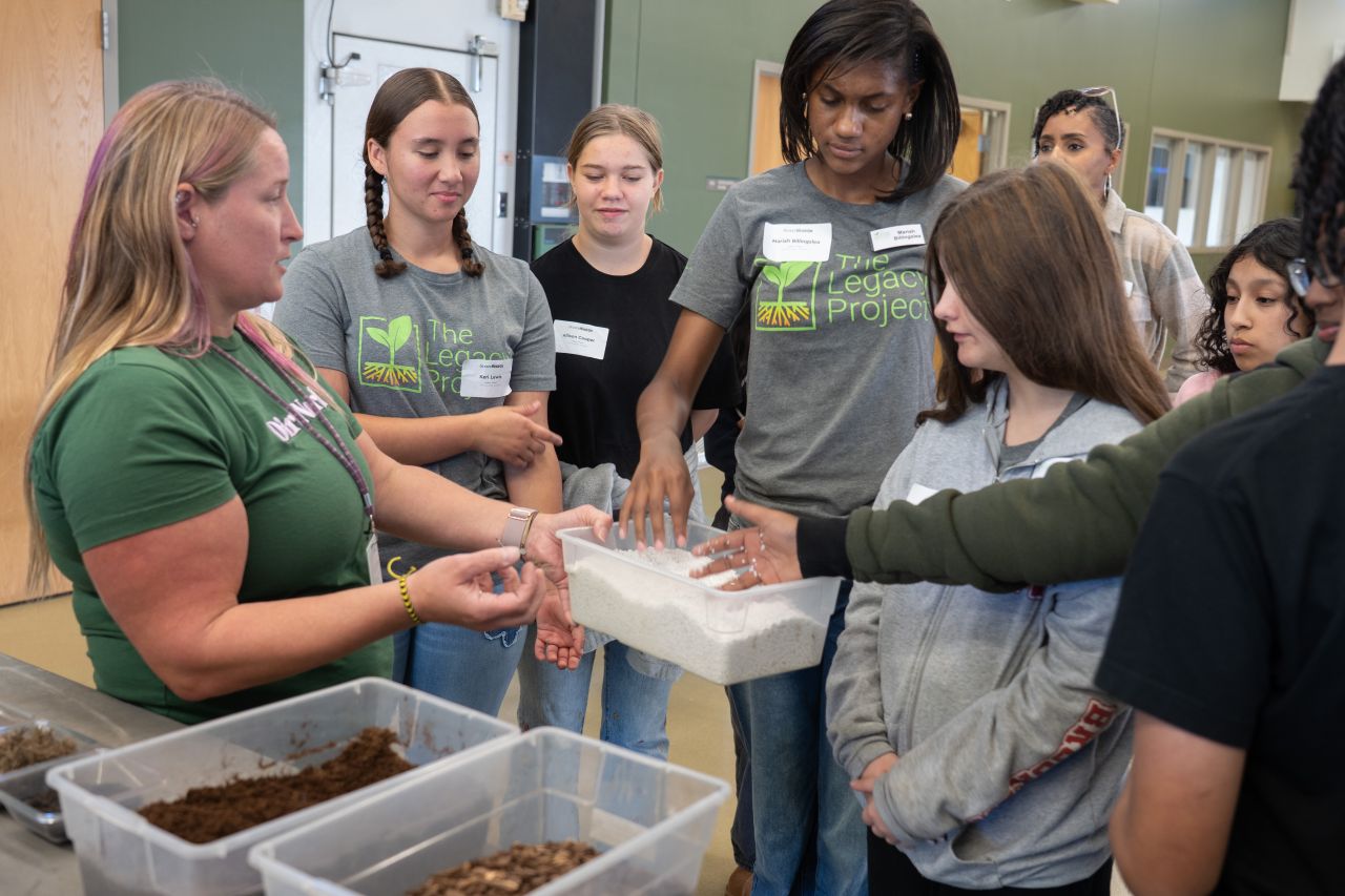 students learning