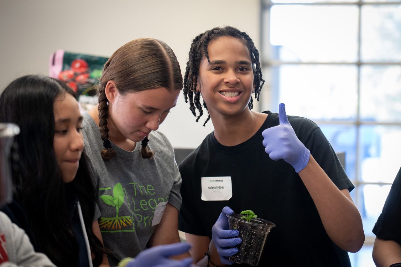 students learning