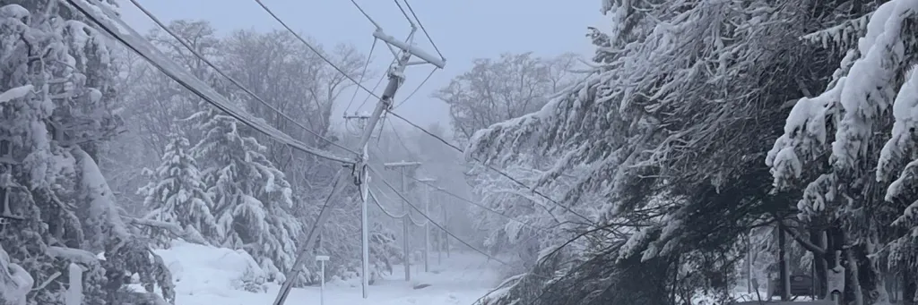 snow bending power poles