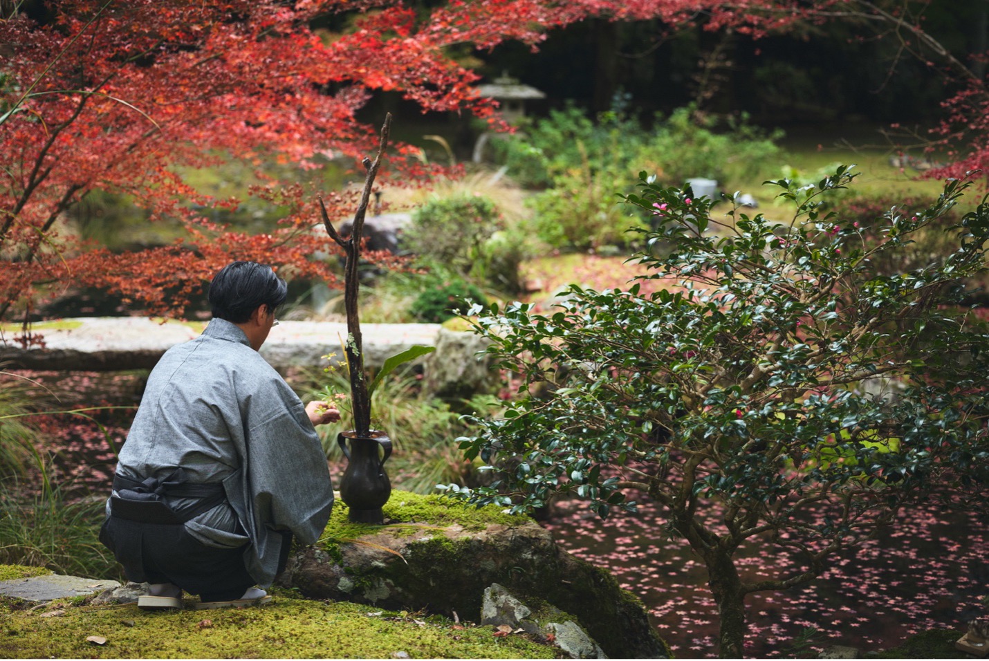 person in a garden