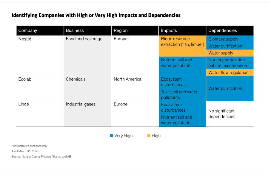 Identifying Companies with High or Very High Impacts and Dependencies
