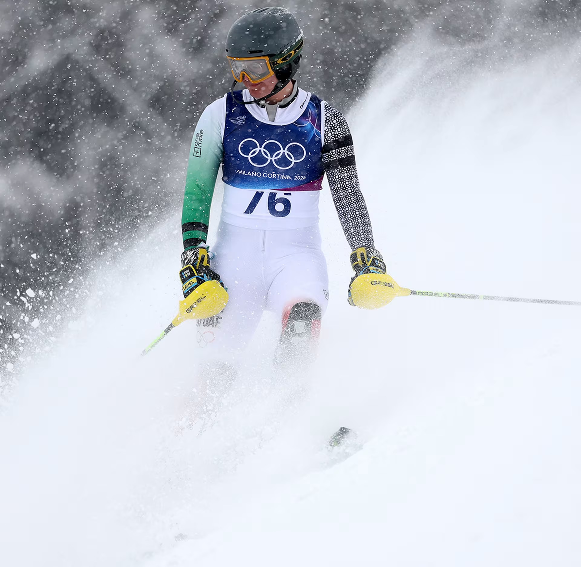 skiier