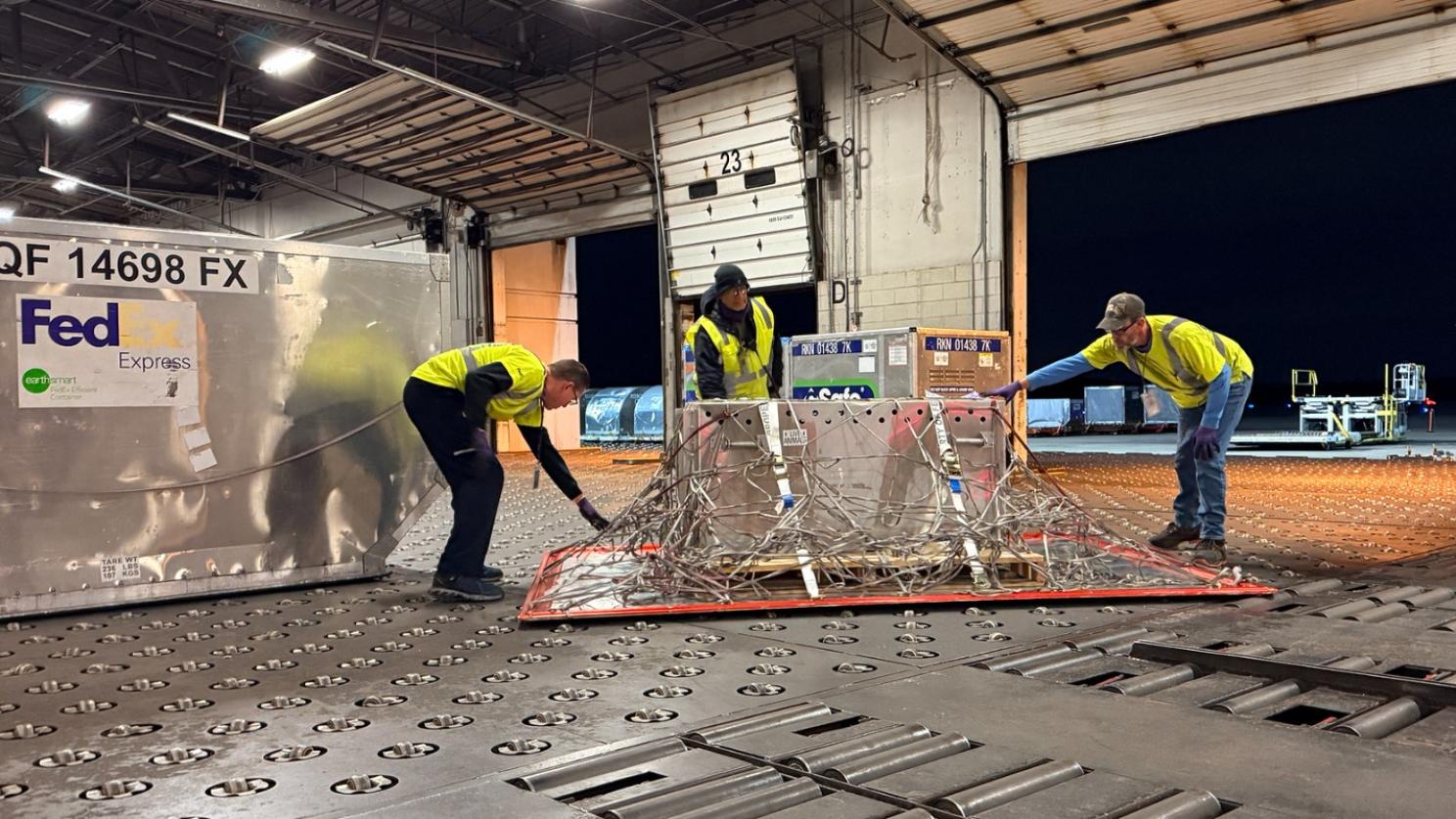 Three workers at FedEx shipping facility preparing to transport Montana the bear