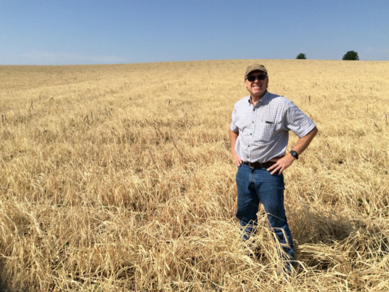 Dan Gillespie in a Field