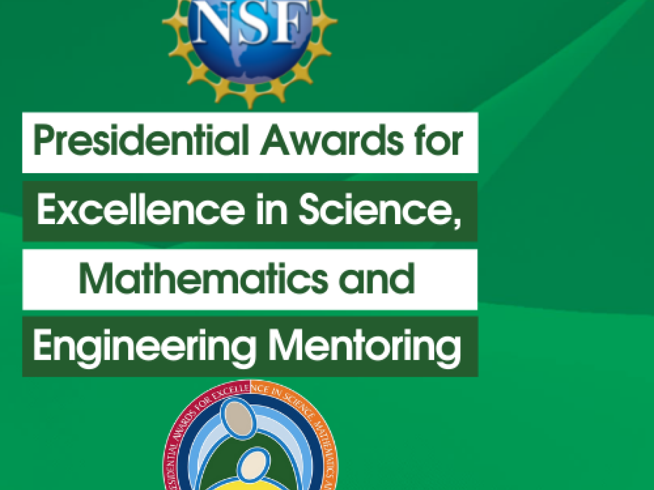 NSF and PAESMEM logos