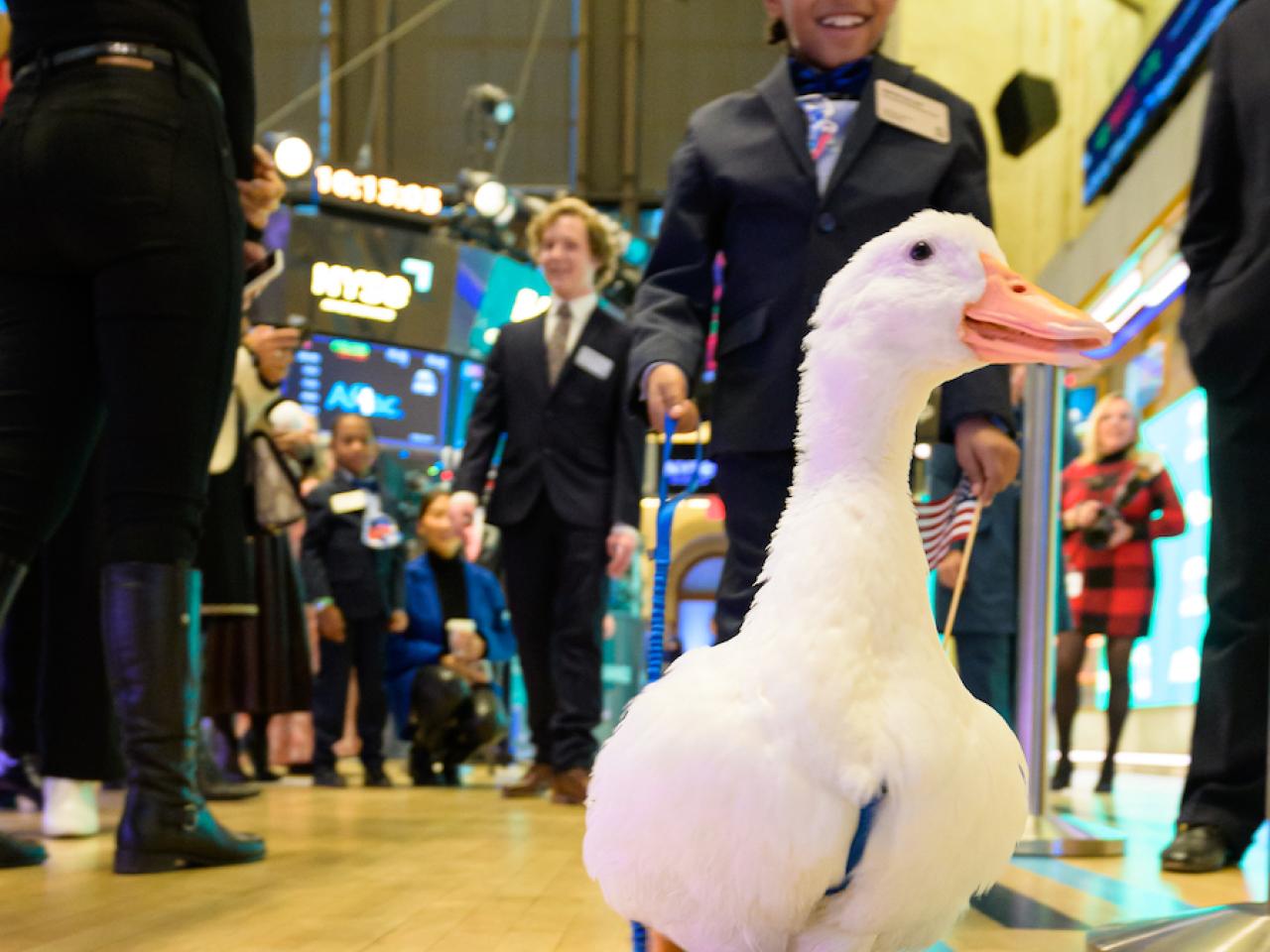 Little boy on the trading floor of the NYSE with the Aflac duck.
