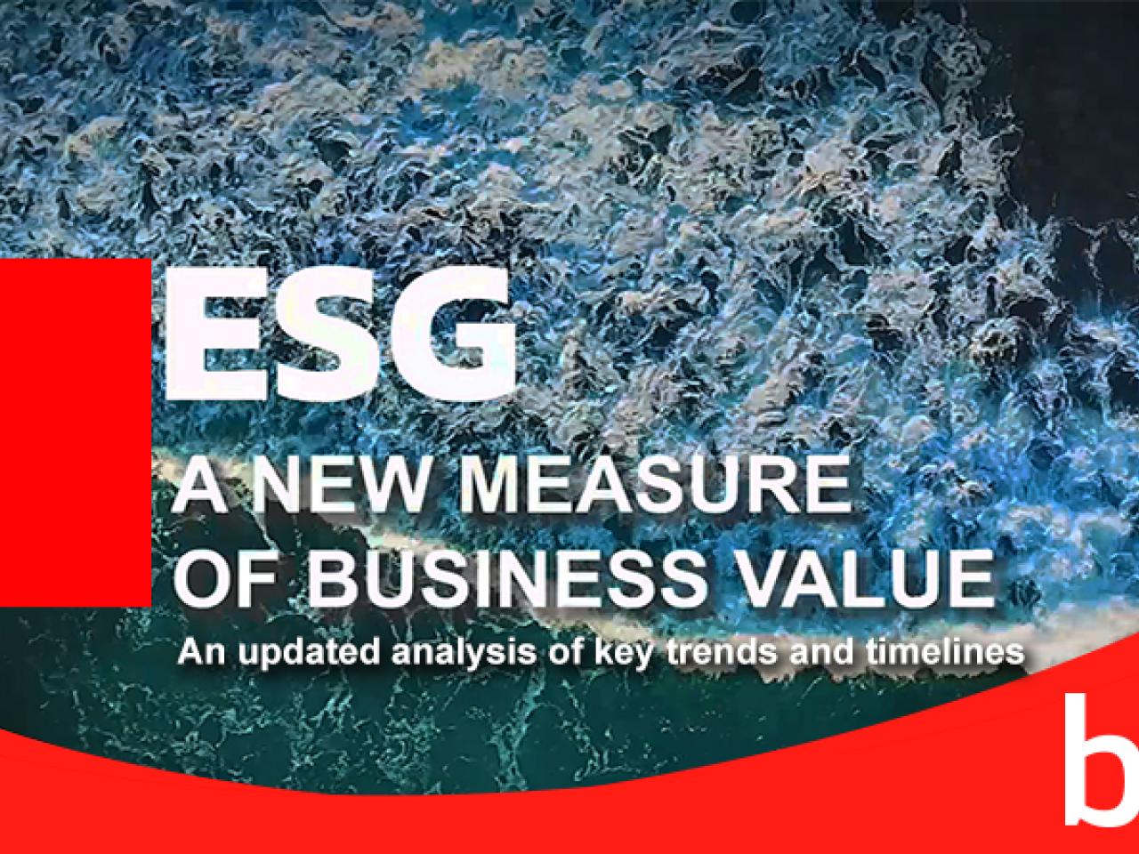 ESG A New Measure of Business Value with the BSI logo