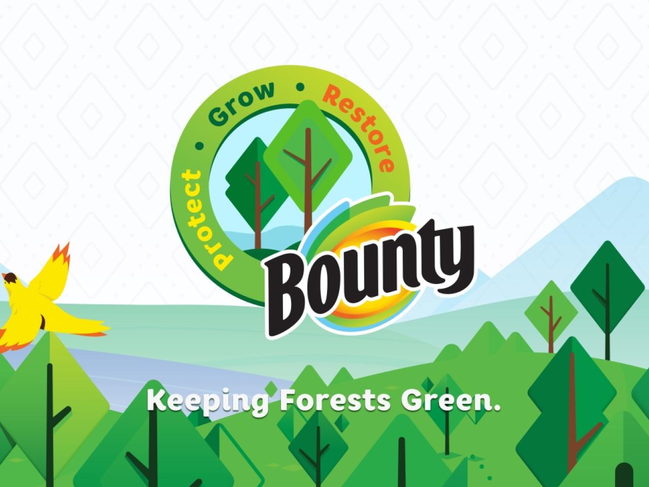 Bounty logo over an artistic representation of a forest with "Keeping Forests Green"