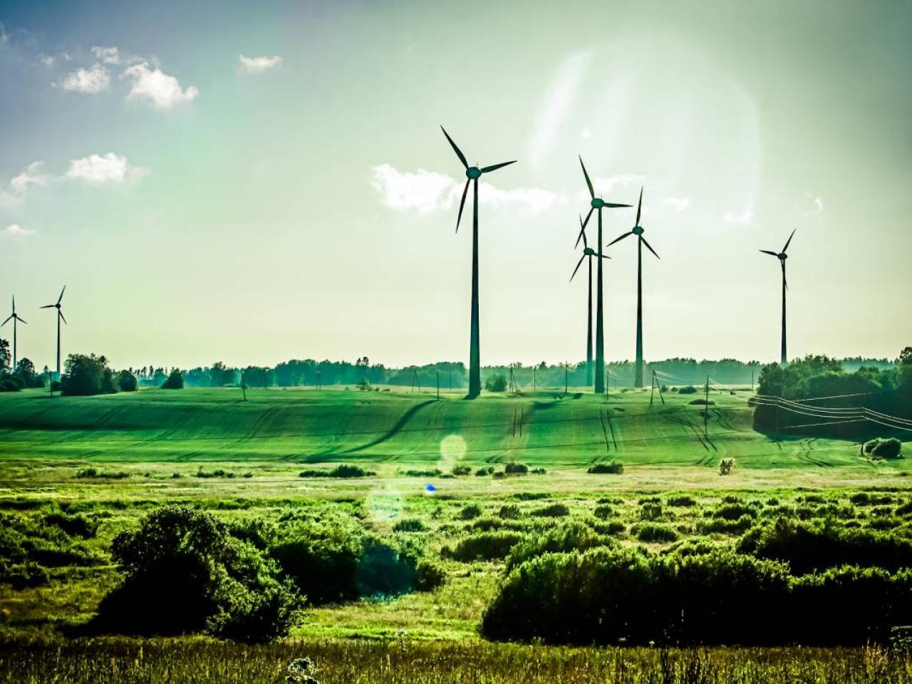 Wind turbines in the distance