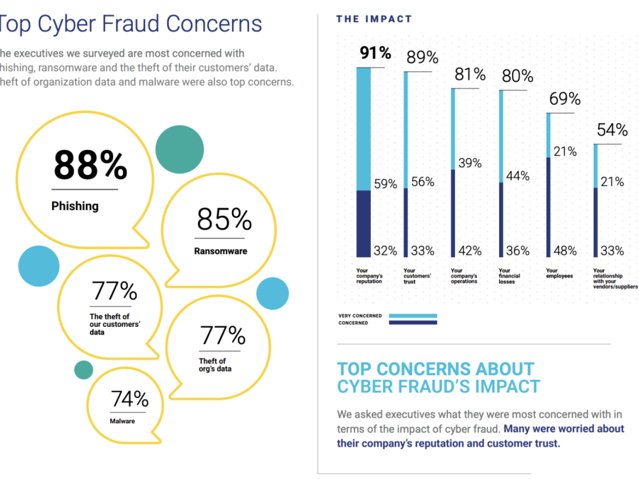 Top Cyber Fraud Concerns.