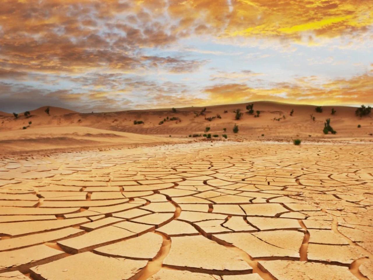 desert landscape