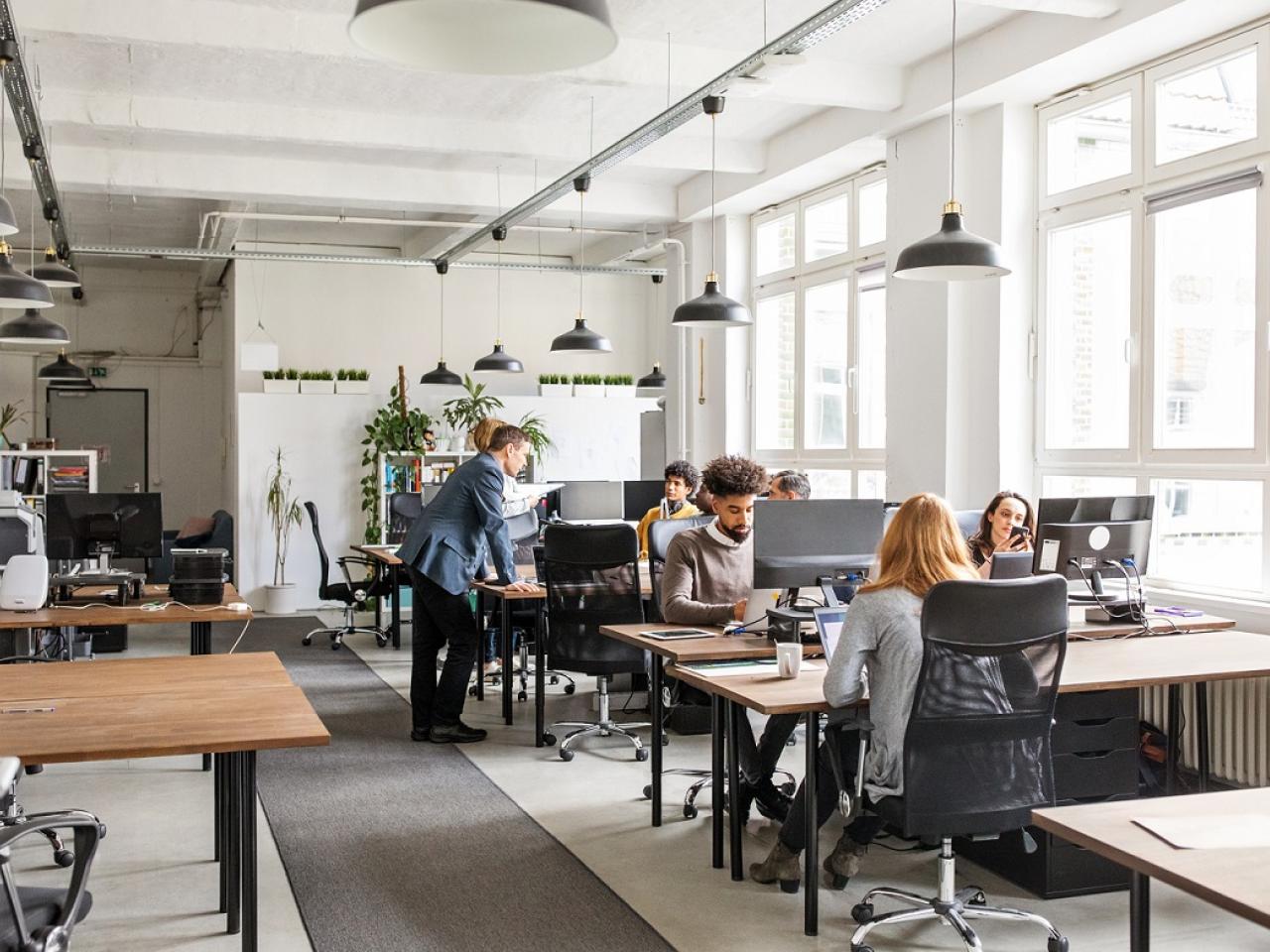 Startup Business