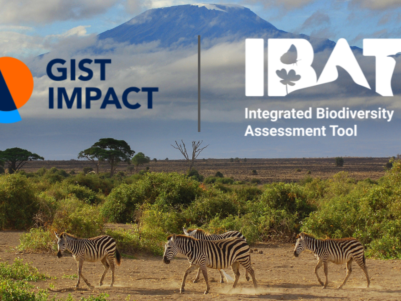 The GIST Impact and IBAT logos set against a backdrop of Kilimanjaro.