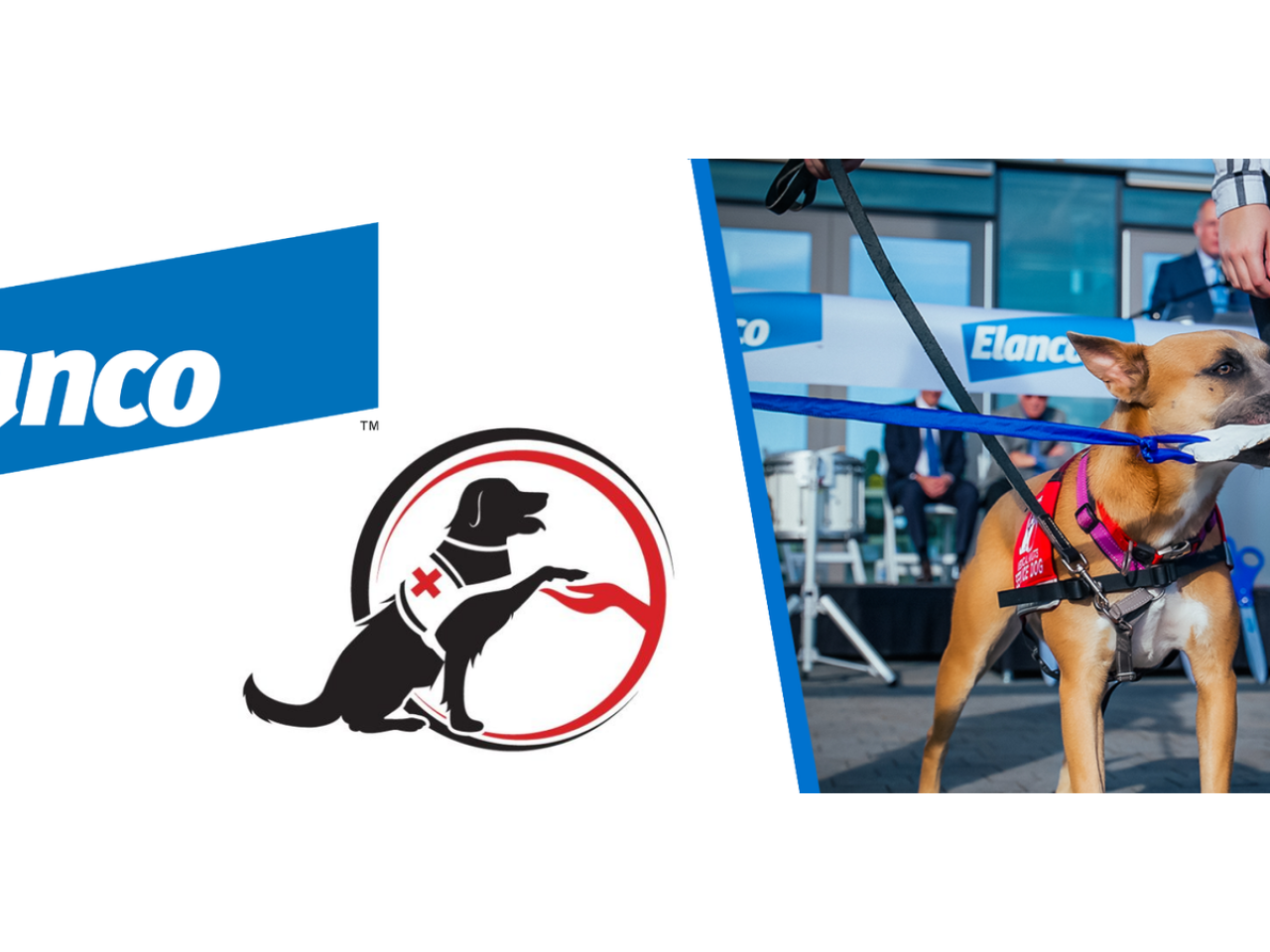 Elanco and Mutts With a Mission logos beside a picture of a service dog