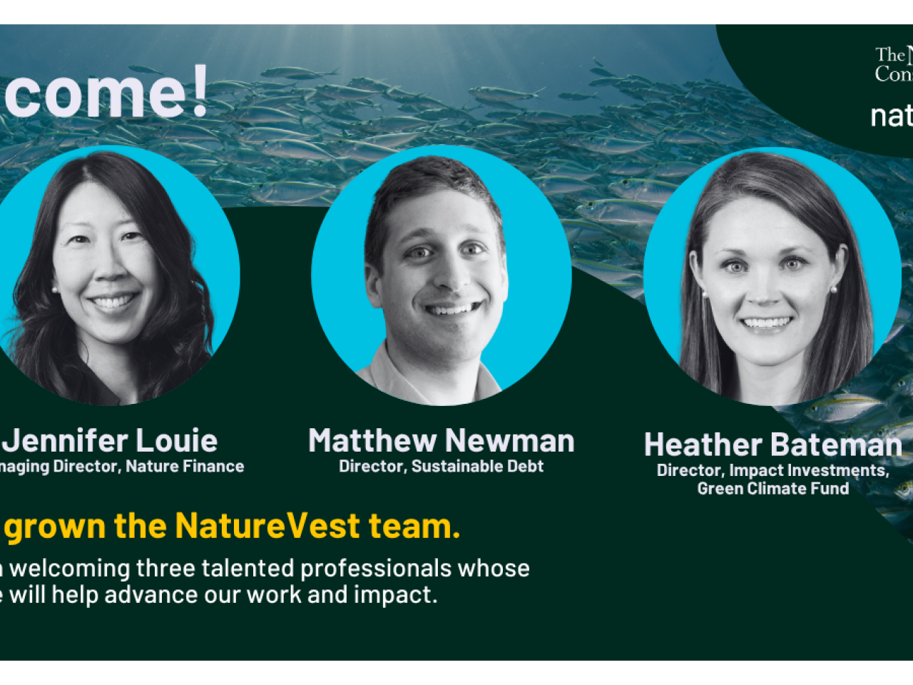 Image featuring three headshots of new NatureVest team members.