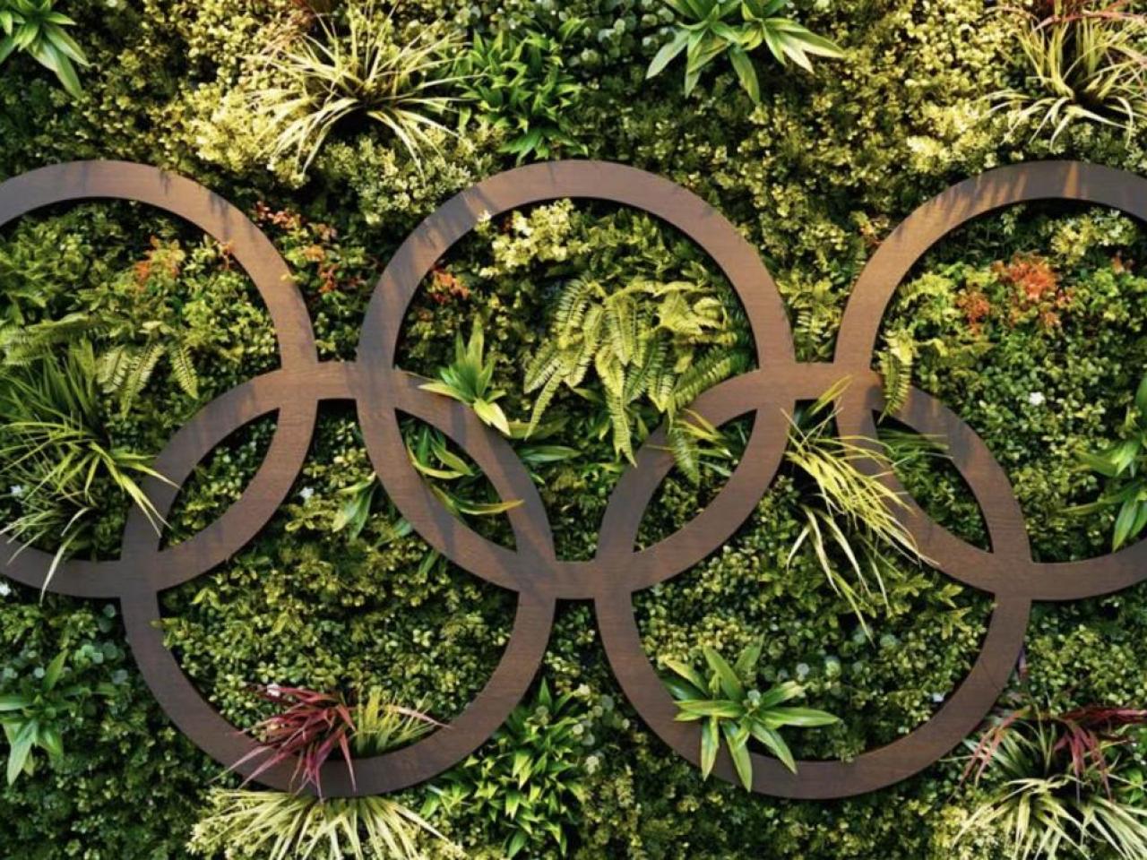 Olympic rings on a topiary wall