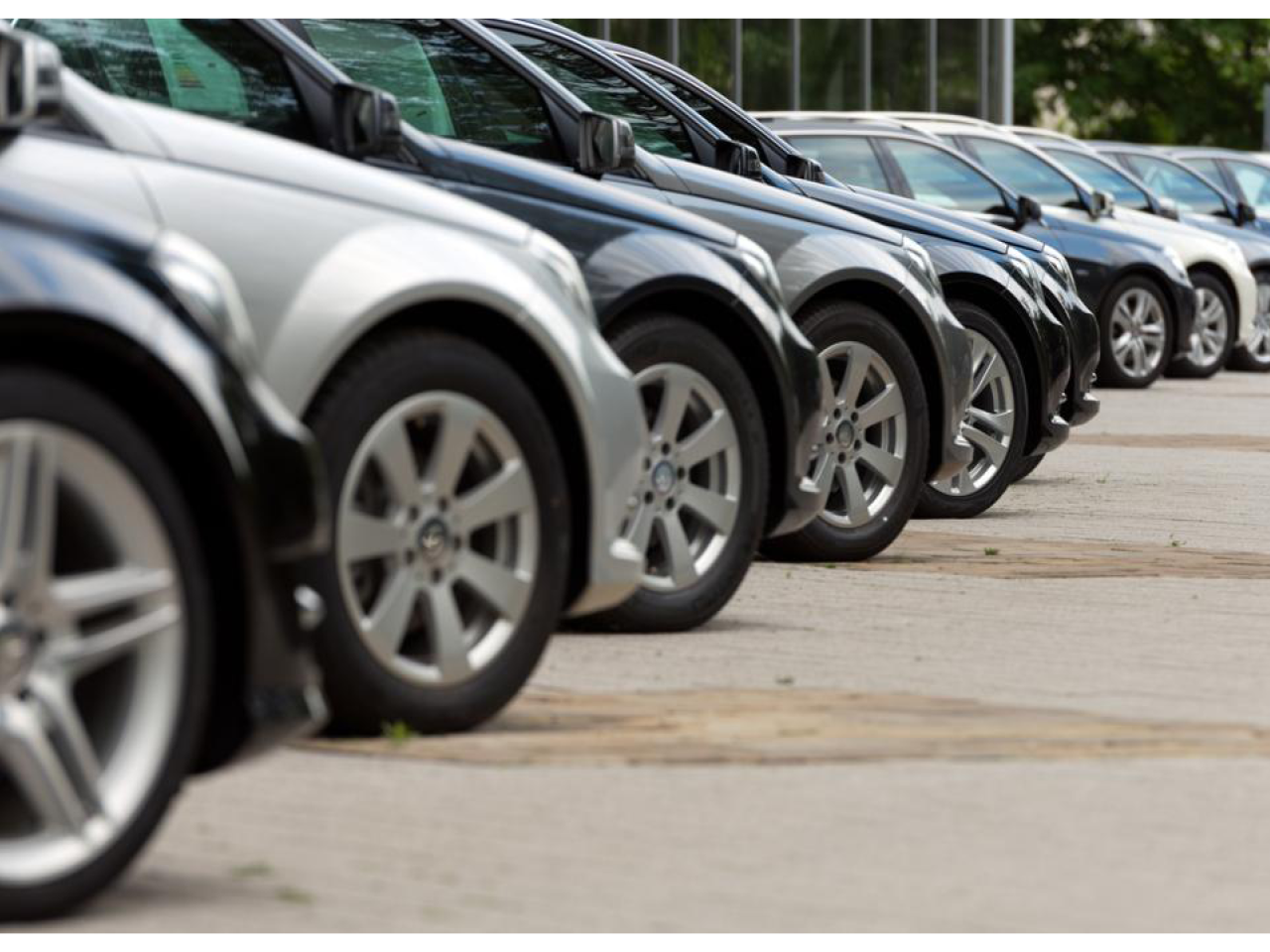 Line of cars in a parking lot