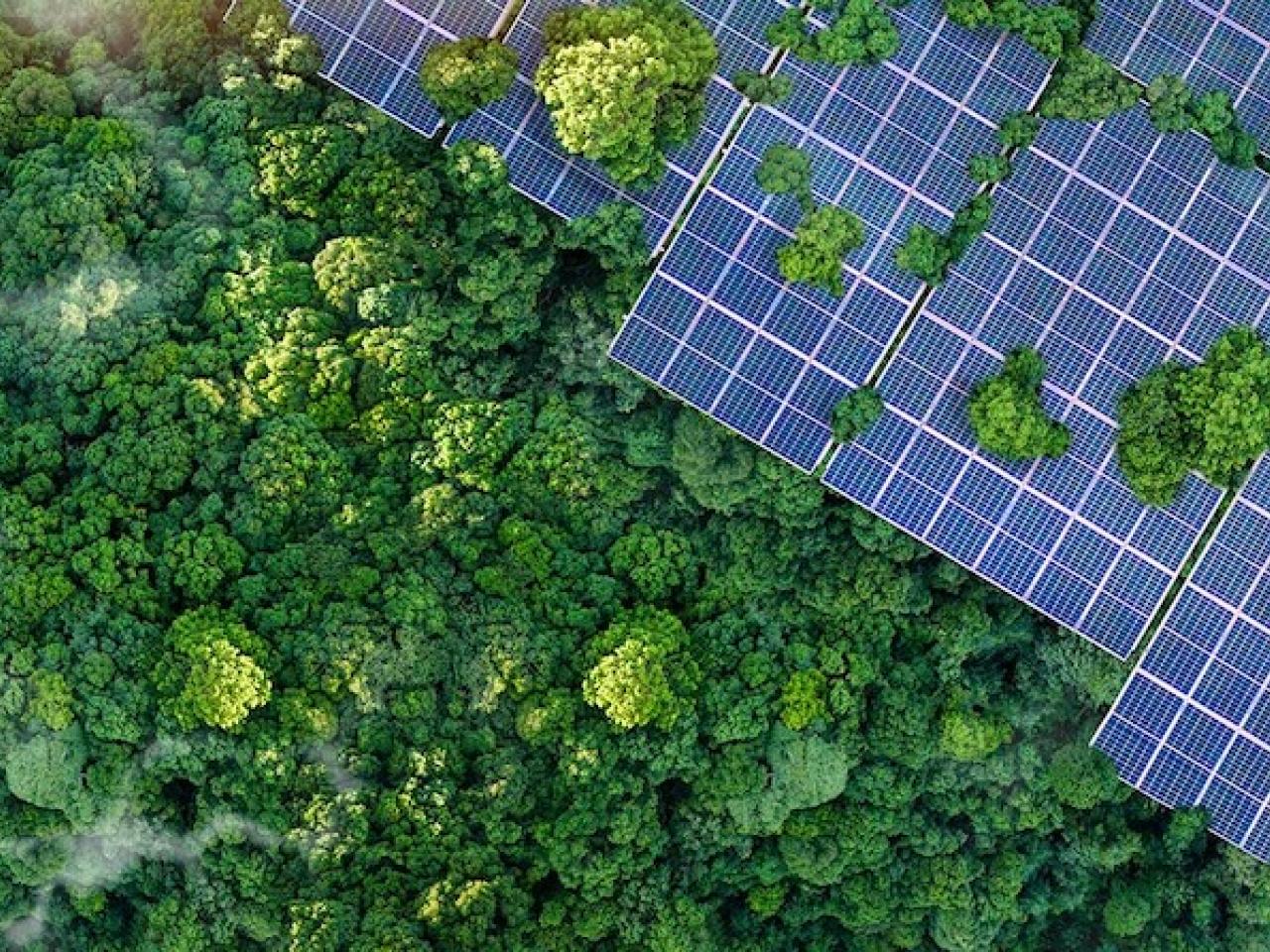 Aerial view of a solar panel array.
