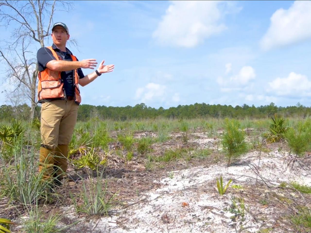 Forester gesturing at dry ground while speaking