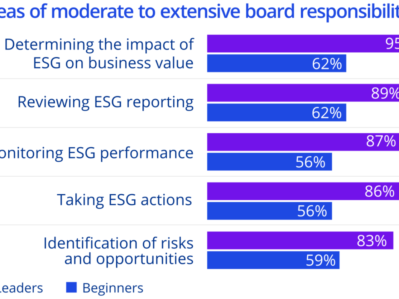 Chart: Areas of moderate to extensive board responsibility