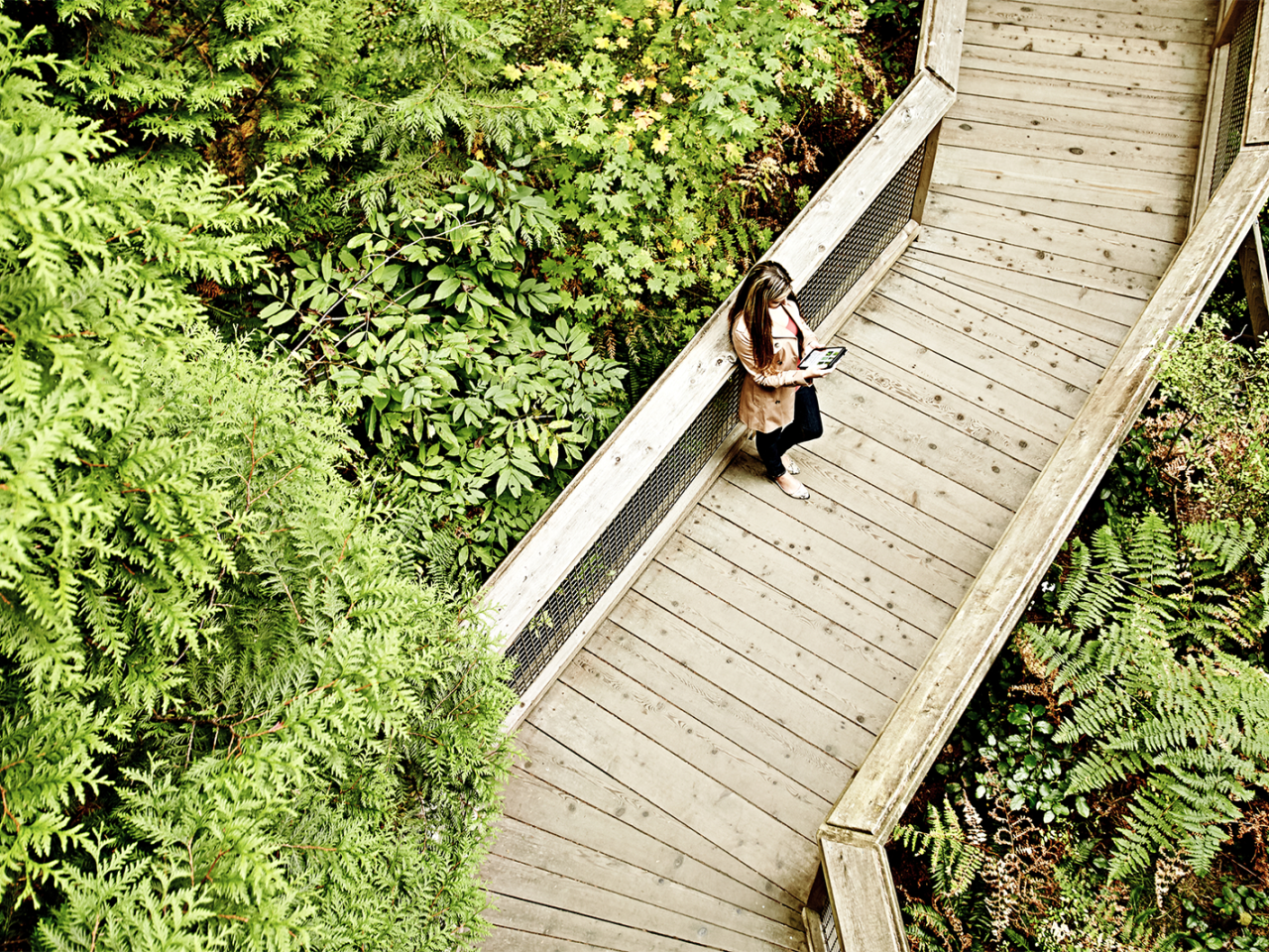 someone standing on a boardwalk surrounded by greenery