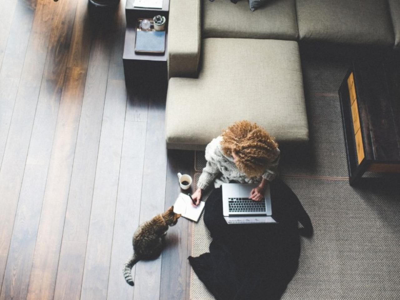 Person working from home with their cat