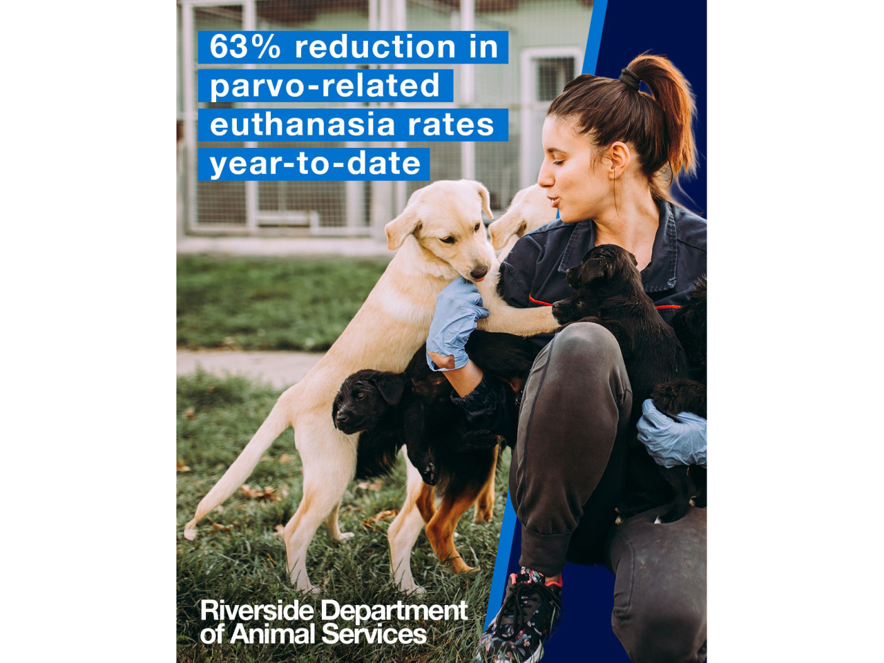 "63% reduction in parvo-related euthanasia rates year-to-date"